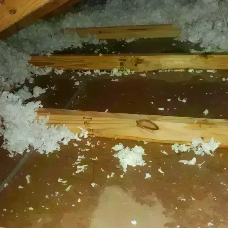 Attic Water Damage in Colusa County, CA